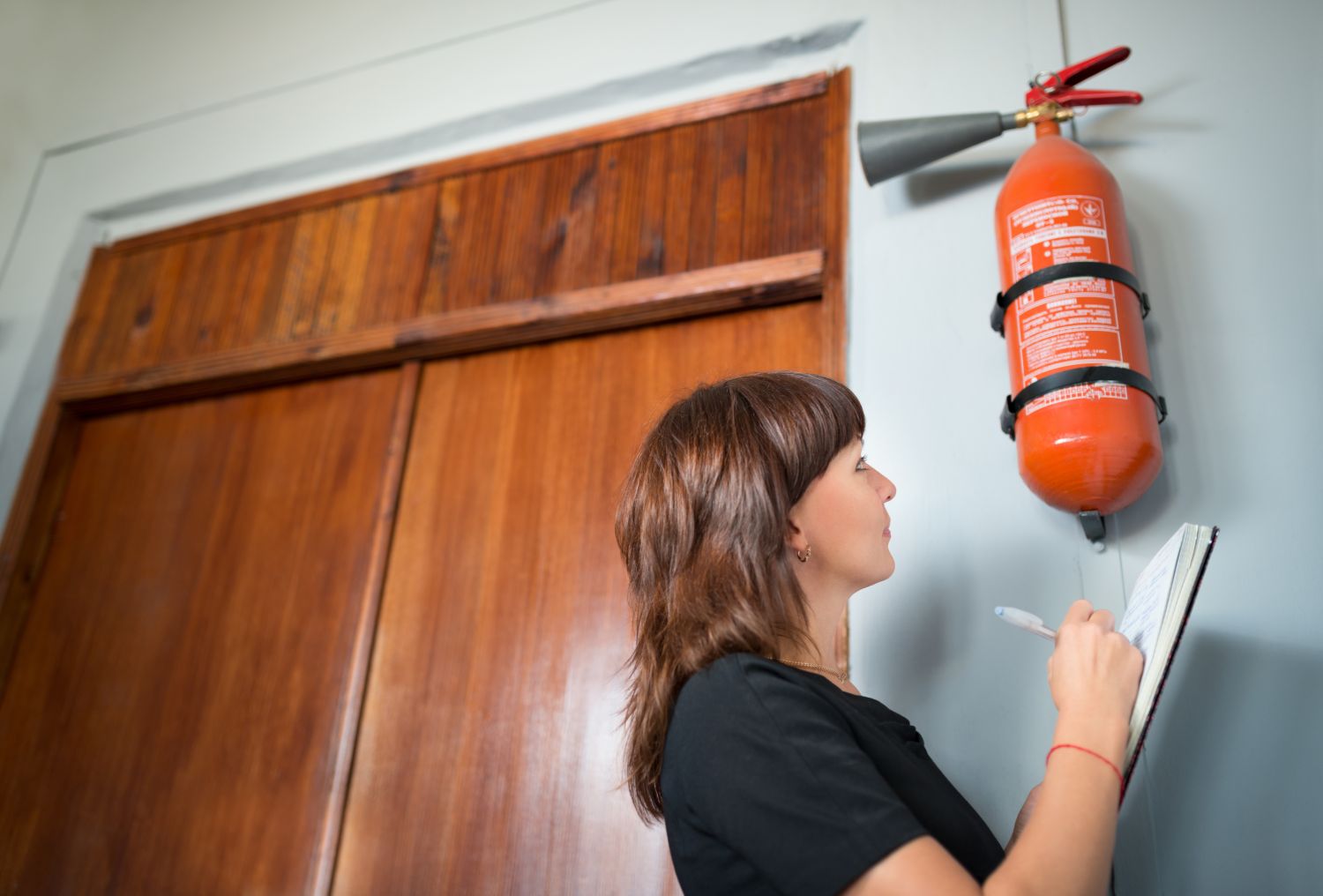 Fire Alarm Notifier